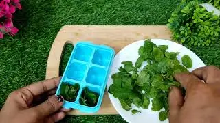 How to store pudina/How to store Mint leaves for long time