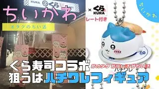 sub）【3/8〜ちいかわコラボ】ただのオタクがくら寿司で本気のちい活・ハチワレのフィギュアが欲しいってこと？🐈初日に行ってきたよ！