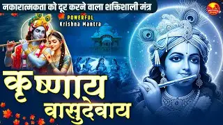 Om Krishnaya Vasudevaya Haraye Paramatmane 108 Times | Krishna Bhakti Mantra | कृष्णाय वासुदेवाय