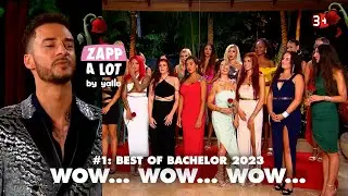 Vol. 1 - 🌹 Best of BACHELOR 2023 🌹 - 🥀 Wow... Wow... Wow... 🤯  - by @zappalot