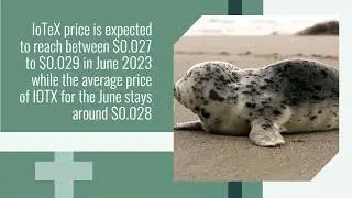 IoTeX Price Prediction 2023  IOTX Crypto Forecast up to $0 036