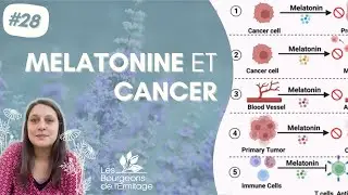 M&eacute;latonine et cancer - Entre strat&eacute;gie anticanc&eacute;reuse et adjuvant th&eacute;rapeutique