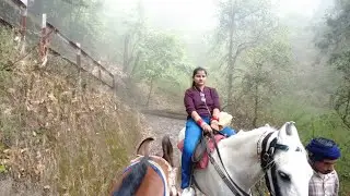 Horse riding lovers point Experience nanital  | Nanital #nanital #nanitaltrip