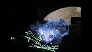 Aye-aye love you mum