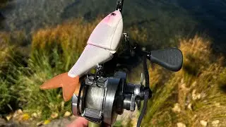 Swimbait/Glidebait and Finesse Fishing the California Delta - Largemouth and Stripers!