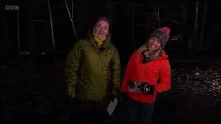 Chris and Michael look at Foxes on the Live Cameras at RSPB Arne, Dorset | Winterwatch 2024