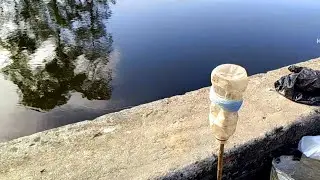 How to catch rohu fish in gucha gal ! Rohu machli kaise pakde 