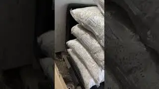 Купил мицелий, грибницу