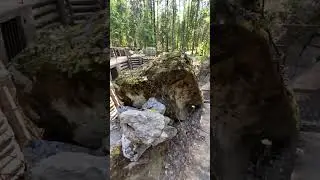 History & Peace! Мотоциклы, лес и окопы| Bikes, trenches, peaceful music! #motorcycle #shorts #moto