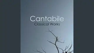 Vivaldi: Cello Concerto In A Minor, RV 419: 1. Allegro