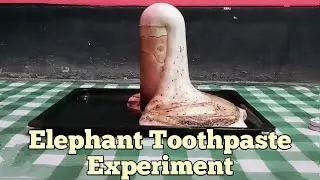Elephant Toothpaste Experiment  || KMnO4 & H2O2 (6%) || Science  Experiment || Titli EMT