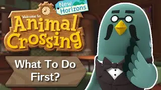 What to do first in the 2.0 Update | Animal Crossing New Horizons