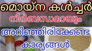 ഈ കാര്യങ്ങൾ ശ്രദ്ധിച്ചാൽ മൊയ്‌ന ഇനി ചാകില്ല / മൊയ്‌ന ചാകര ഉണ്ടാക്കാം/Moina culture