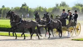 Competition Of Historic Carriages Venaria Reale Italy 2017,  Concorso Int. di Attacchi di Tradizione