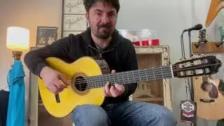 SAERS AF70 FLAMENCO GUITAR