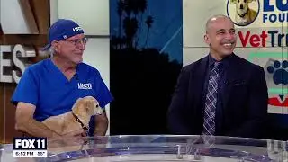 VetTriage & Lucy Pet Foundation - FOX 11 Los Angels Interview