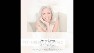 Pet-Friendly Rentals