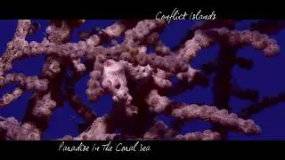 The Conflict Islands, Paradise in the Coral Sea