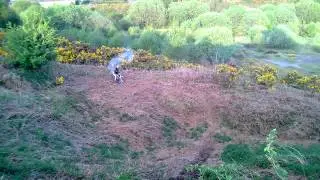 Stomp Racing 140cc YX Pitbike. Fun ride 16
