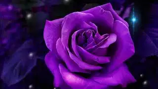 Jeffrey Osborne~ 
