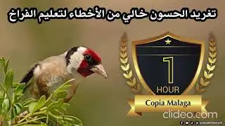 Ta3lim fira5 Al hassoun 2025 