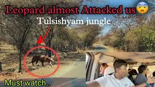 Leopard attack in tulsishyam jungle live😰🫨|| Must Watch #youtube #gir #viral