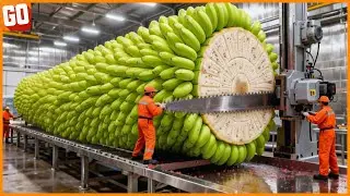 Most Satisfying Machines and Ingenious Tools ▶ 12