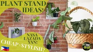 5 UNUSUAL PLANT STAND IDEAS | Cheap & stylish ways to display your indoor plants