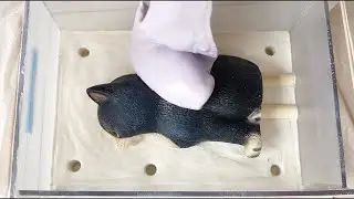 HOW TO MAKE A SILICONE MOLD FROM YOUR ADORABLE KITTY CAT!?