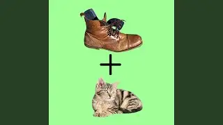 Boots and Cats