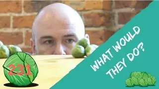 What would they do?  | daily sprout 231