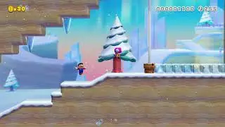 More Super Mario Maker 2 Lag
