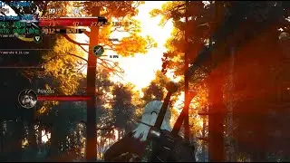 Lenovo LOQ 15 2024 | i7 14700HX | RTX 4060 | The Witcher 3 Ultra setting