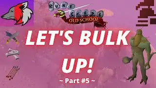 (OSRS) F2P Hardcore Ironman Efficiency Guide: Part #5