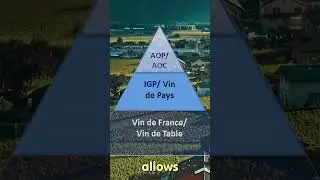 Vin de Pays is created in France #wine #frenchwine #vindepayswine