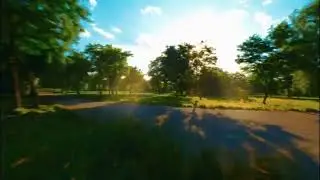 Experience the slow flight of an insect through the forest.