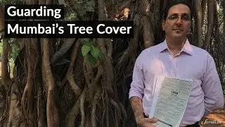Meet Mumbai's Tree Saviour