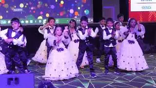 DPS ECHO -30  ANNUAL DAY 2024-2025 PART-1
