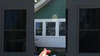AWESOME Window Transformation!