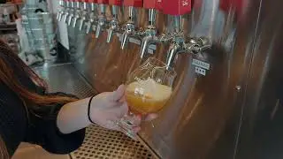 Farm Country Brewing Beer Pour
