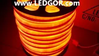 Orange LED Neon Flex  Ledgor