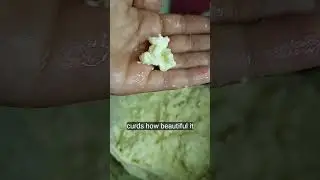 CREAM CHEESE STEP-BY-STEP - SO EASY A SEVEN YEAR-OLD CAN DO IT!