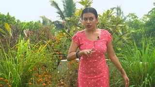 Kartarimukh Hasta Viniyoga| lesson no 86|Bharatnatyam Abhinaya for beginners|