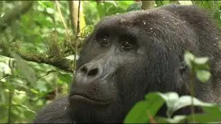 Western Rwanda