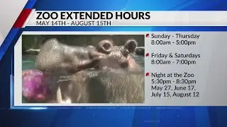 Saint Louis Zoo announces extended summer hours, events