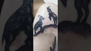 D&ouml;vme-Deq Pez Kov&icirc;