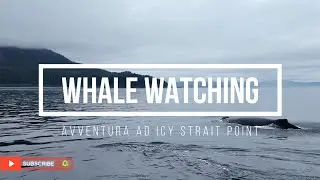 Whale watcing - Avventura ad Icy Strait Point - EP.7