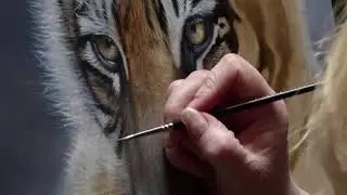 Tiger Cub