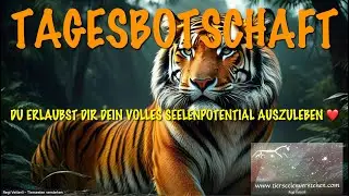 TAGESBOTSCHAFT: LEBE DEIN VOLLES SEELENPOTENTIAL AUS