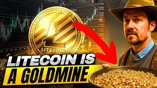 Litecoin Holders Are Sitting on a GOLDMINE! 💰